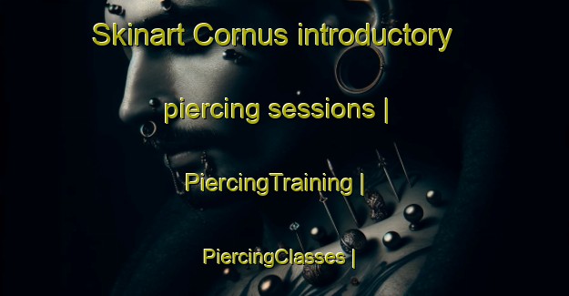 Skinart Cornus introductory piercing sessions | PiercingTraining | PiercingClasses | SkinartTraining-France